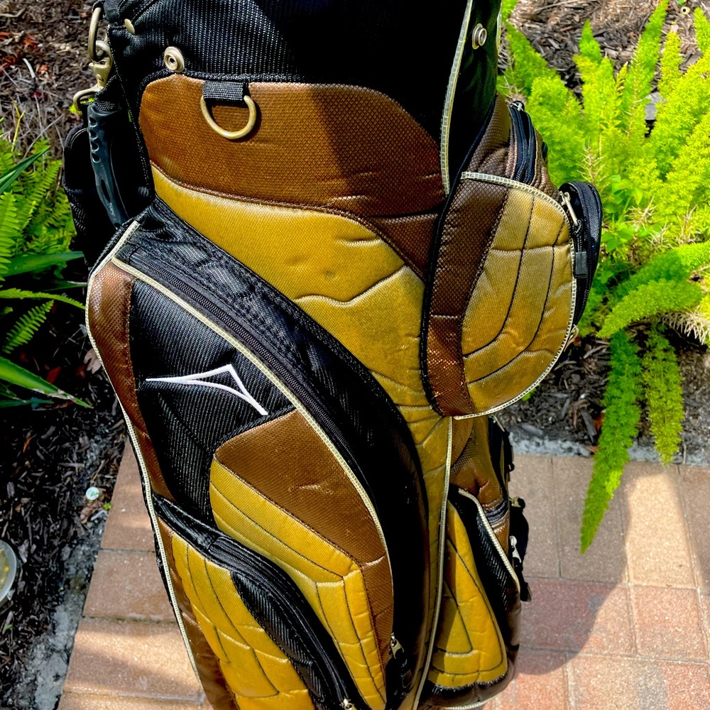 Acquity Golf Cart Bag With club Dividers and shoulder strap .